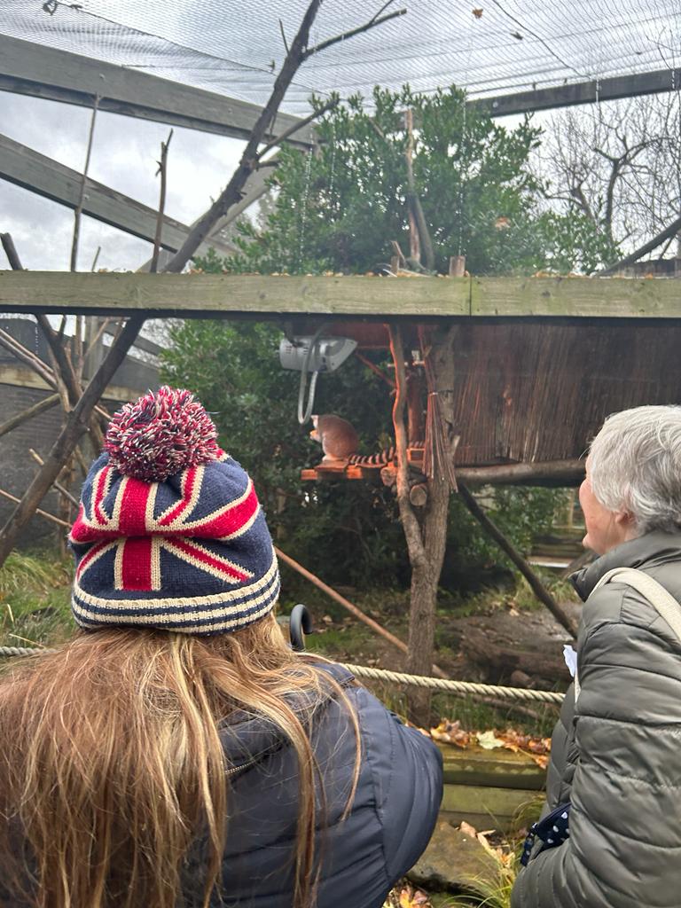 A JUMP young person and befriender stand looking at a lemur at London Zoo.